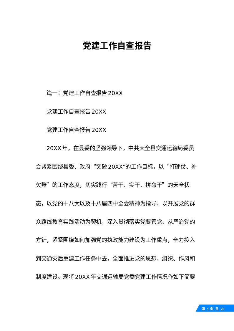 党建工作自查报告